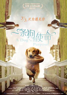 国产欧美久久久久久精品一区二区